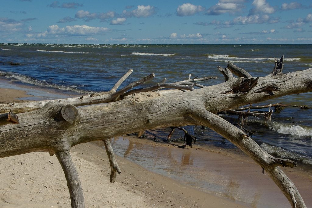 wycieczka litwa łotwa estonia