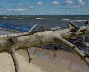 wycieczka litwa łotwa estonia